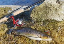 Ørretfiske for nybegynnere