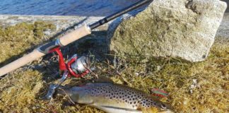 Ørretfiske for nybegynnere