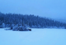Kevin gikk gjennom isen når han skulle redde hunden «Spott» under harejakt.