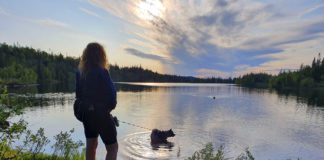 Sommerens natureventyr planlegger du på nett Foto: Knut Gartland