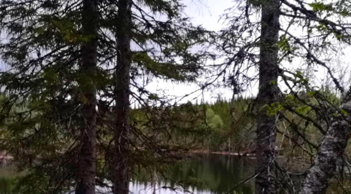 Alle snakker om «allemannsretten», men kjenner de den?