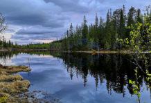 Naturen våkner til liv etter vinterdvalen
