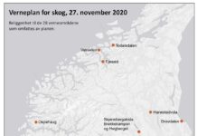 Verner 28 skogområder i sju fylker