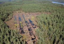 Restaurerer myr for naturmangfold og klima