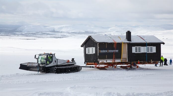 Flyttesjau for villreinen