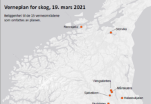 Regjeringa vernar 15 skogområde i Vestland, Innlandet og Trøndelag fylke