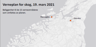 Regjeringa vernar 15 skogområde i Vestland, Innlandet og Trøndelag fylke
