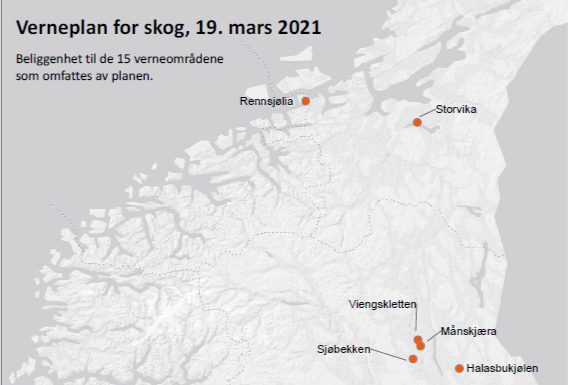 Regjeringa vernar 15 skogområde i Vestland, Innlandet og Trøndelag fylke