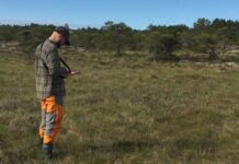 Rekordmye truet natur kartlagt