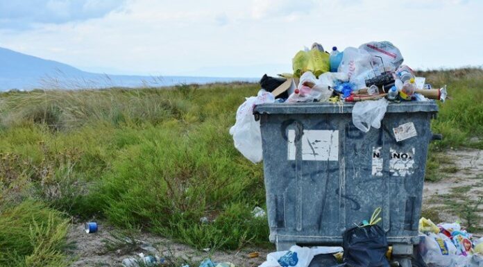 Innlandet står sammen om å rydde