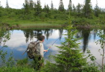 Norgesferie – da bør du ha Norgeskortet