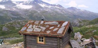 Statskog tilbyr gratis buer og koier