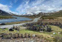 Elsykler i Jotunheimen overvåkes