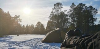 Jakten på opplevelser i furuskogen