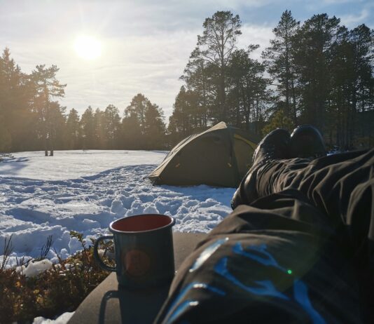Jakten på opplevelser i furuskogen
