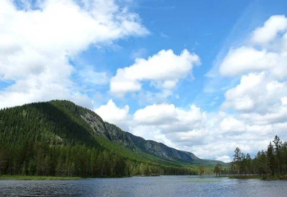 Verner 42 skogområder i åtte fylker