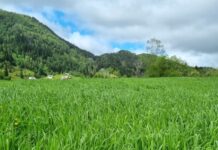 Gå ein tur på stien i sommar