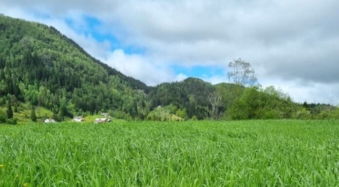 Gå ein tur på stien i sommar