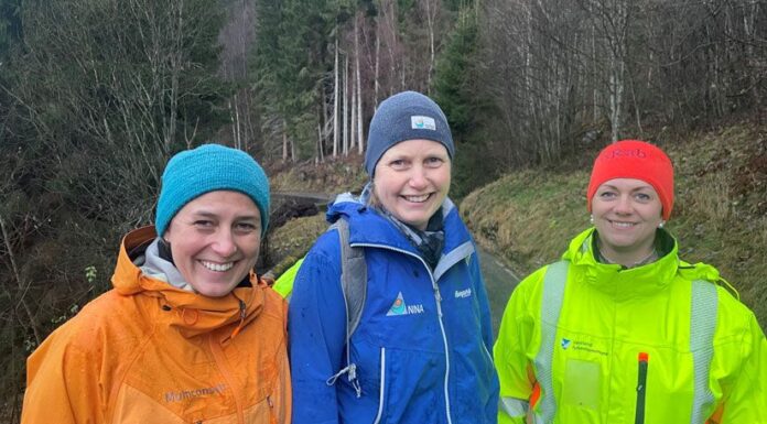 Vil gi gammel vei tilbake til naturen