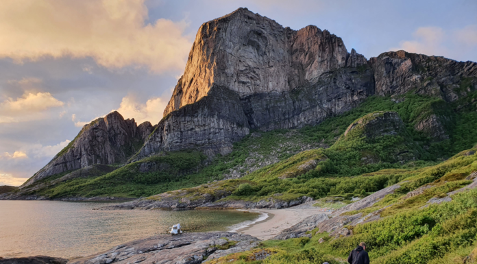 Rødøyløva er ny Nasjonal turiststi