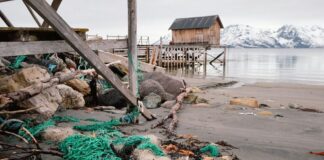 På disse 15 strendene får du ikke rydde søppel søppel strand