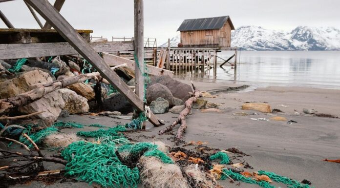 På disse 15 strendene får du ikke rydde søppel søppel strand