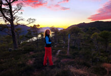 Søk støtte fra Statskogmillionen i mars tur nærtur monica