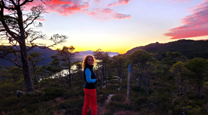Søk støtte fra Statskogmillionen i mars tur nærtur monica