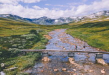 Årets turfavoritter: Topp ti på UT