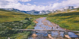 Årets turfavoritter: Topp ti på UT