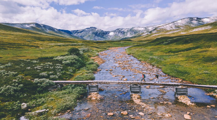 Årets turfavoritter: Topp ti på UT