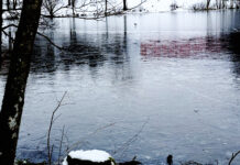 Ikke ta sjanser på isen Islagt vann