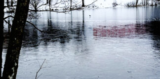 Ikke ta sjanser på isen Islagt vann