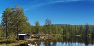 Her er folks favoritthytter hos Statskog