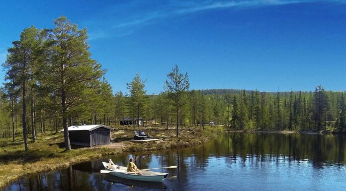 Her er folks favoritthytter hos Statskog