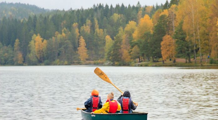 Slik kan naturen bli tilgjengelig for flere barn med funksjonsnedsettelser