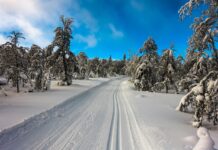 Nordmenns vinterferie: delt mellom snø og sol