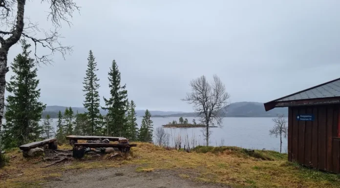 Statskog har over 200 overnattingstilbud