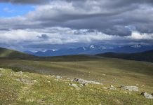 Uvanlig gode sommerforhold i fjellet