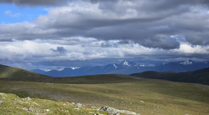 Uvanlig gode sommerforhold i fjellet