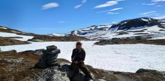 Ti år med ferdselstellinger gir ny kunnskap om bruken av Hardangervidda Forskere og feltarbeidere monterer ferdselstellere