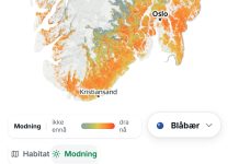 Nytt nettkart skal hjelpe folk å planlegge bærturen
