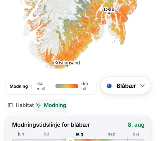 Nytt nettkart skal hjelpe folk å planlegge bærturen