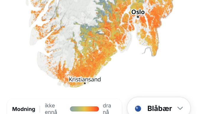 Nytt nettkart skal hjelpe folk å planlegge bærturen
