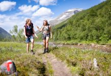 Sommerens turfavoritter på UT