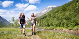 Sommerens turfavoritter på UT