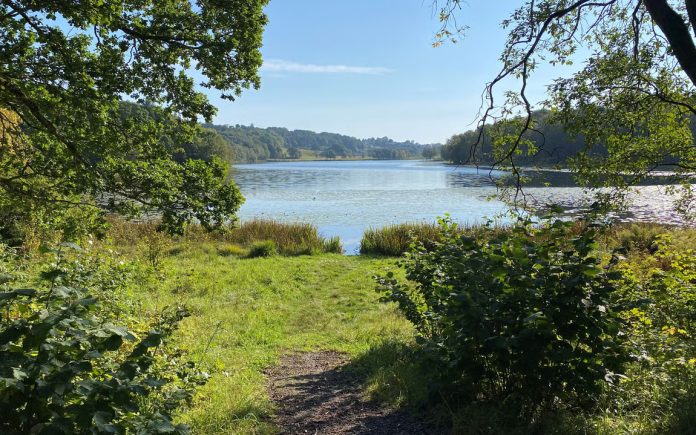 stokkavatn stavanger